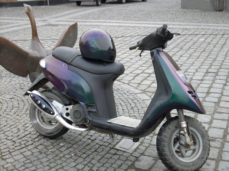 Piaggio typhoon kameleons farve billede 12