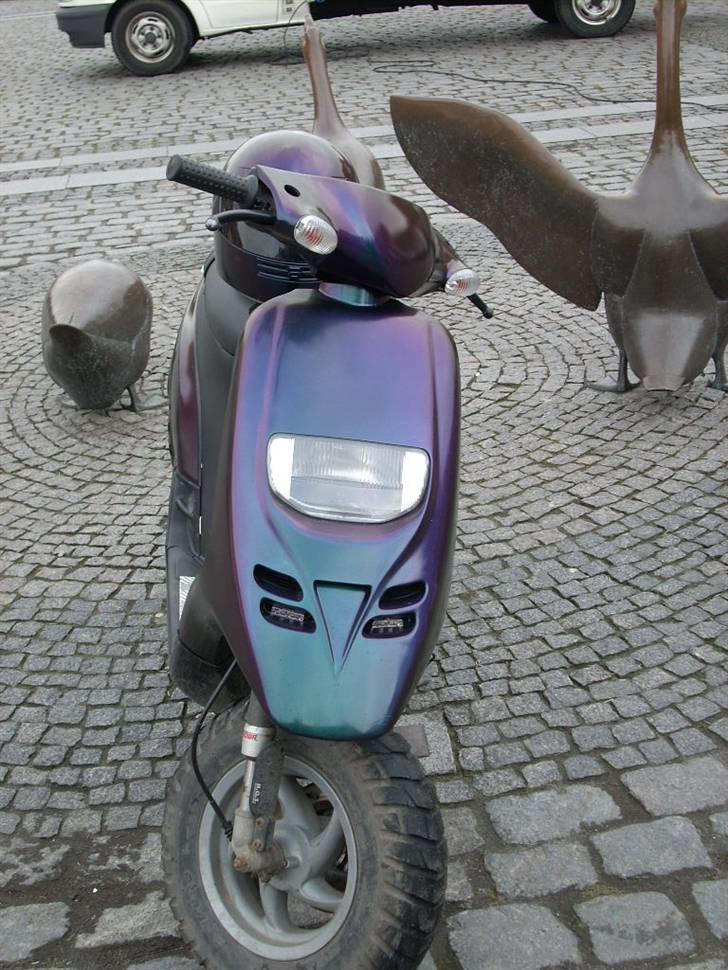 Piaggio typhoon kameleons farve billede 13