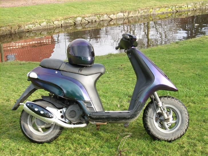 Piaggio typhoon kameleons farve billede 15