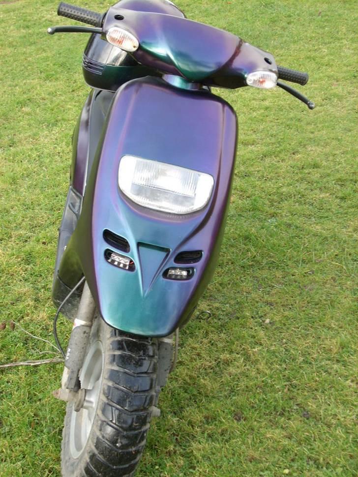 Piaggio typhoon kameleons farve billede 16