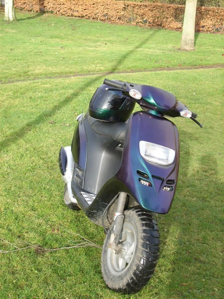 Piaggio typhoon kameleons farve billede 18