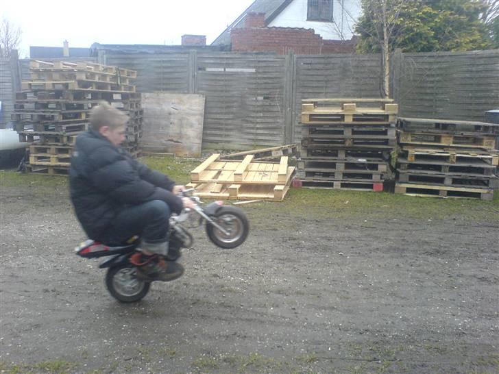 MiniBike pocketbike tilsalg I DELE billede 18