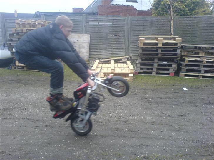 MiniBike pocketbike tilsalg I DELE billede 19
