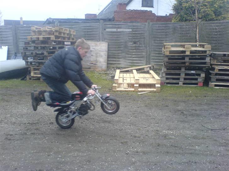 MiniBike pocketbike tilsalg I DELE billede 20