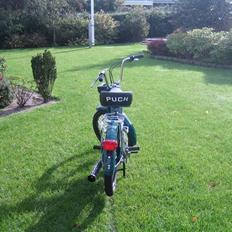 Puch maxi k  (SOLGT 3000)