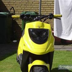 PGO HOT 50 "Humlebien"