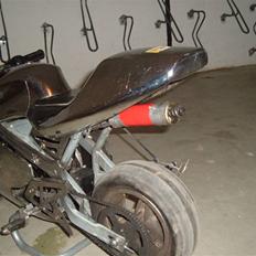 MiniBike 2007