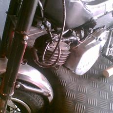 Tomos karilli project SOLGT