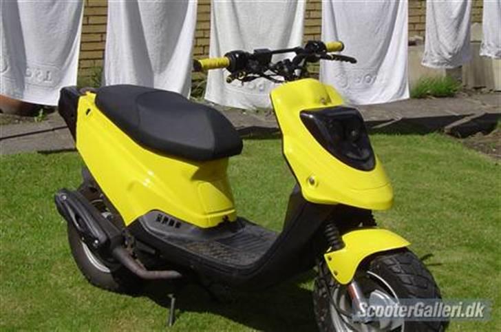 PGO HOT 50 "Humlebien" billede 1