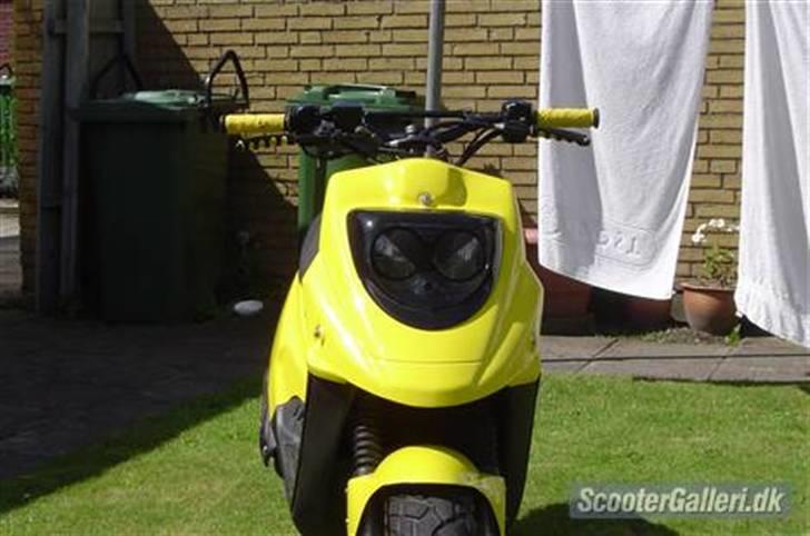 PGO HOT 50 "Humlebien" billede 2