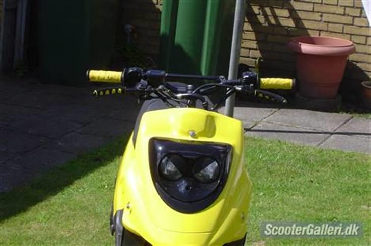 PGO HOT 50 "Humlebien" billede 4