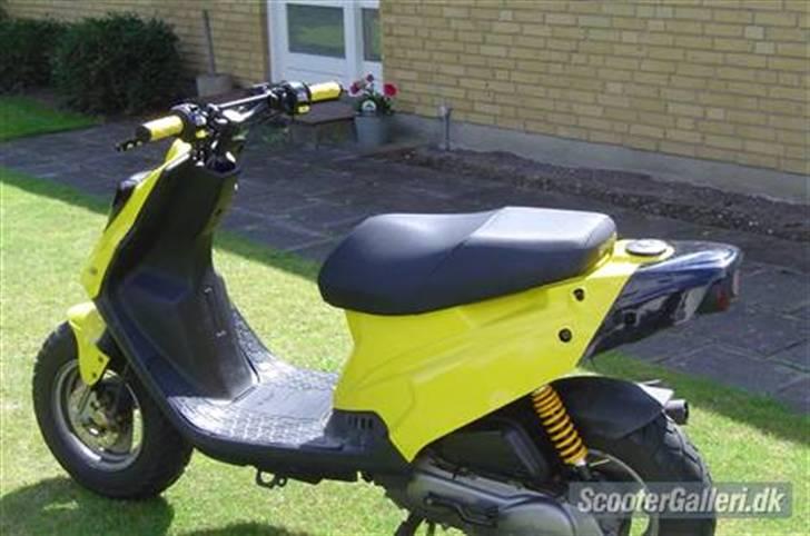 PGO HOT 50 "Humlebien" billede 5