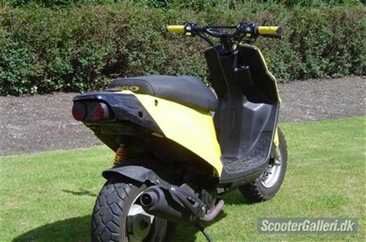 PGO HOT 50 "Humlebien" billede 6