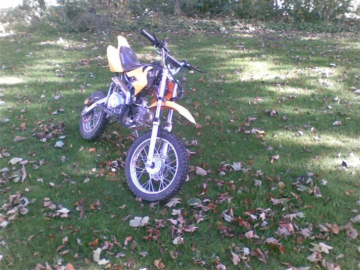 MiniBike crosser 110 billede 2