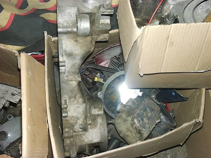 PGO Hot 50 (Solgt)  billede 18