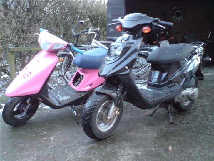 PGO Hot 50 ( solgt 7.000 kr ) billede 2