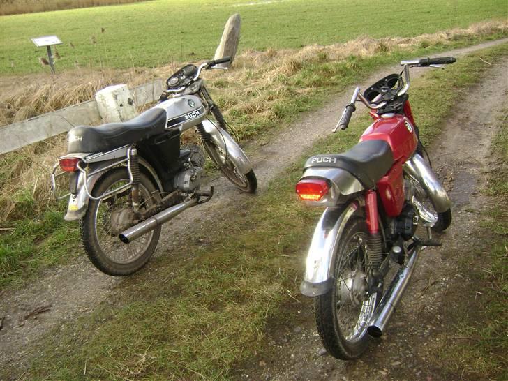 Puch Monza GP - Solgt :'( - Marts 2008, lækrer billeder :D - Det perfekte par! billede 8