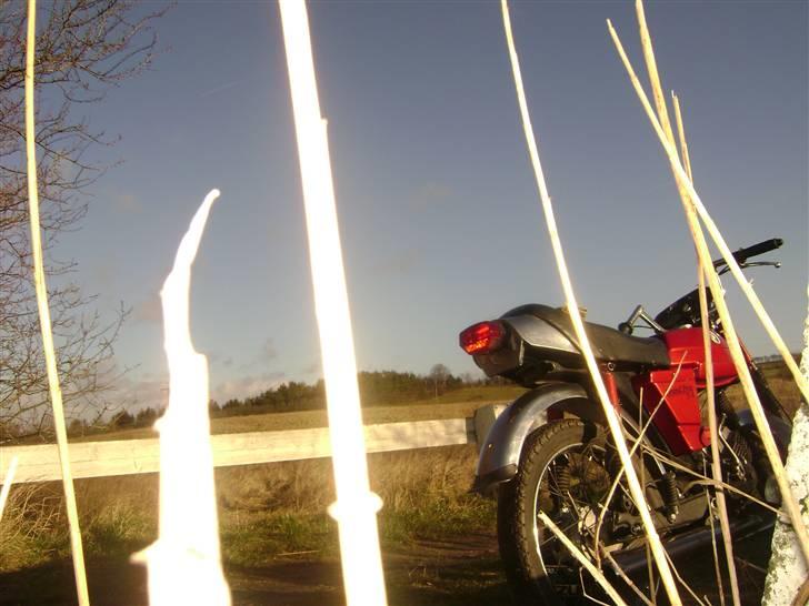 Puch Monza GP - Solgt :'( - Marts 2008, lækrer billeder! :D billede 13