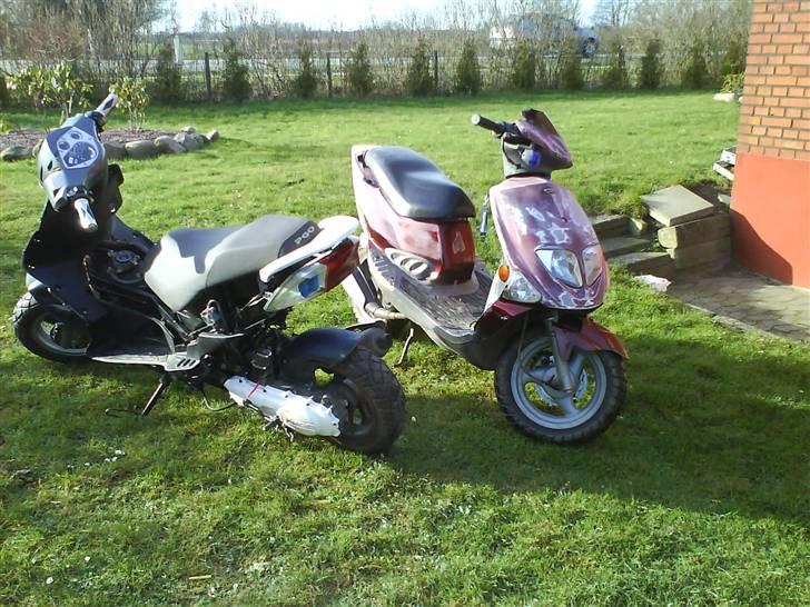 PGO big # Solgt! billede 2