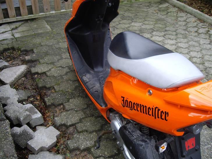 Honda SFX SOLGT billede 7