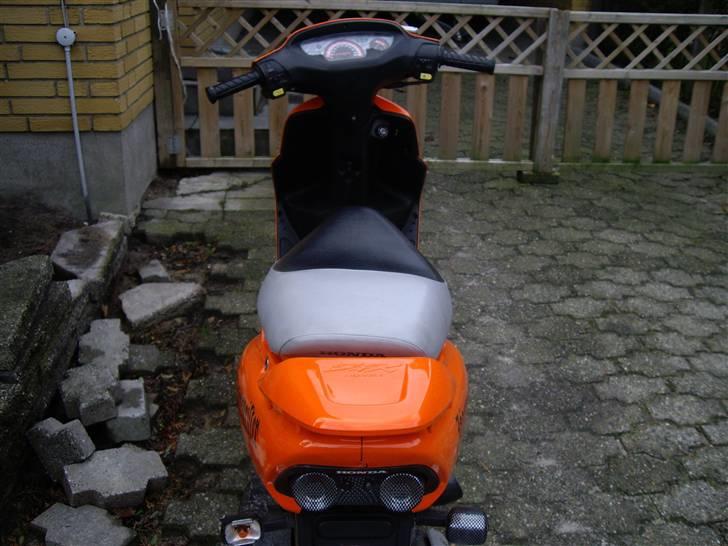 Honda SFX SOLGT billede 8