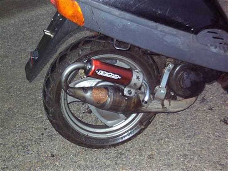 Adly Silverfox [ Solgt ] billede 3