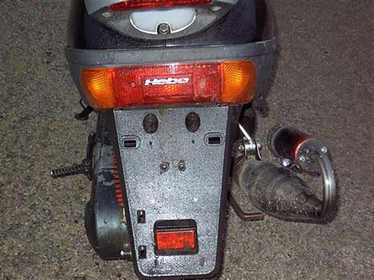 Adly Silverfox [ Solgt ] billede 4