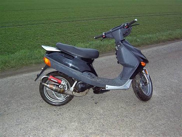 Adly Silverfox [ Solgt ] billede 5