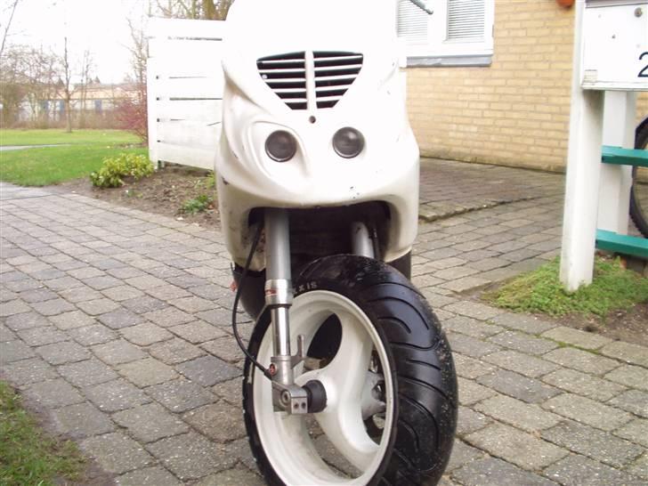 Piaggio Typhoon AC solgt billede 7