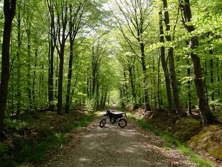 CPI Super Motard *hverdags* billede 16