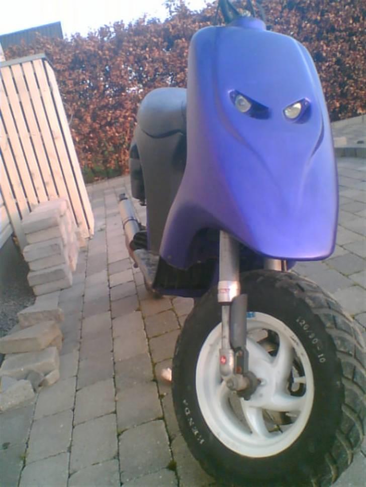 Polini Evolution Typhoon [SOLGT] billede 1