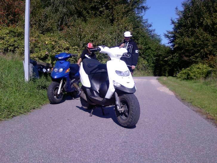 Gilera Stalker (Solgt) billede 4