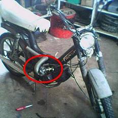 Tomos flexer  ((  SOLGT ))