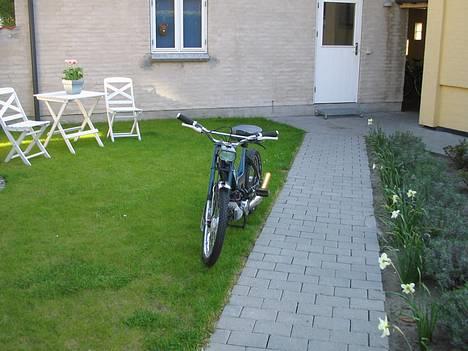 Puch Maxi  Solgt billede 2