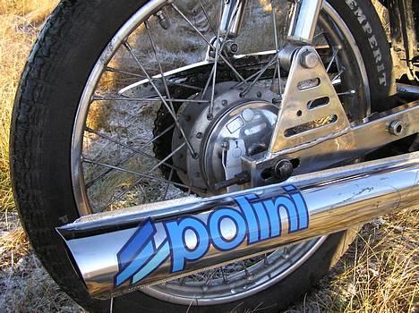 Yamaha Yamaha 4g billede 1