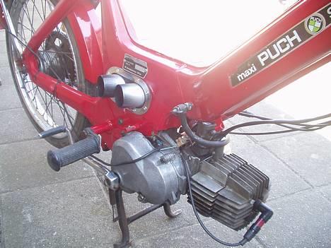 Puch Maxi k [Solgt] - Den er sej billede 1