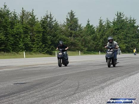 Honda sfx solgt billede 5