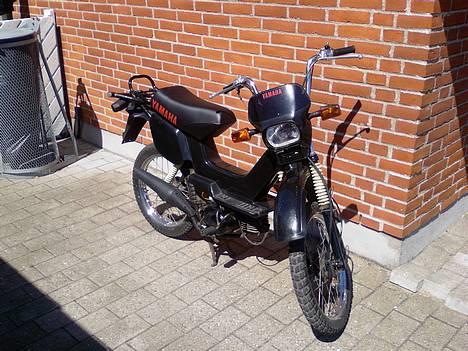 Yamaha SG50 Sting billede 1