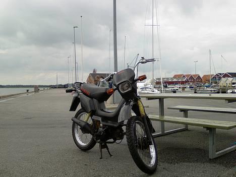 Yamaha SG50 Sting billede 5