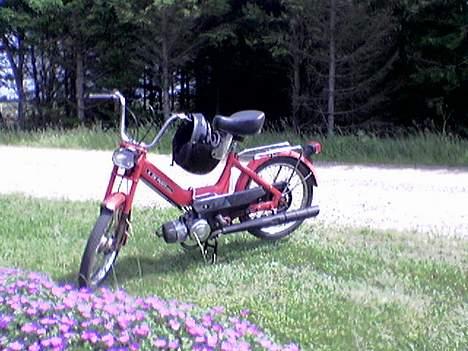 Puch Maxi K billede 2