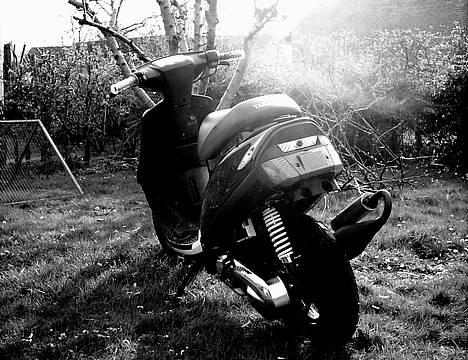 Yamaha Jog FS // "SOLGT" - Mjin Smukke Jog ! billede 1