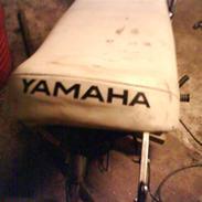 Yamaha FS-1