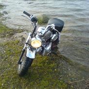 Skyteam  monkey  IKKE TILSALG