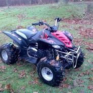 Jincheng ATV (stjålet)