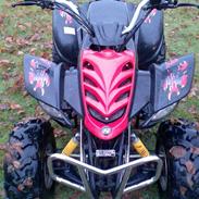 Jincheng ATV (stjålet)