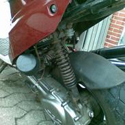 PGO Hot 50 -SOLGT-