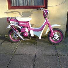 Suzuki fz50 47,6mm hebo racing