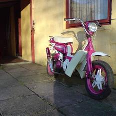 Suzuki fz50 47,6mm hebo racing