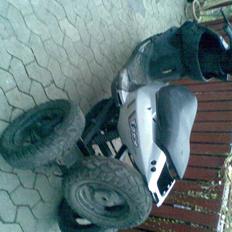 PGO t-rex TIL SALG årgang