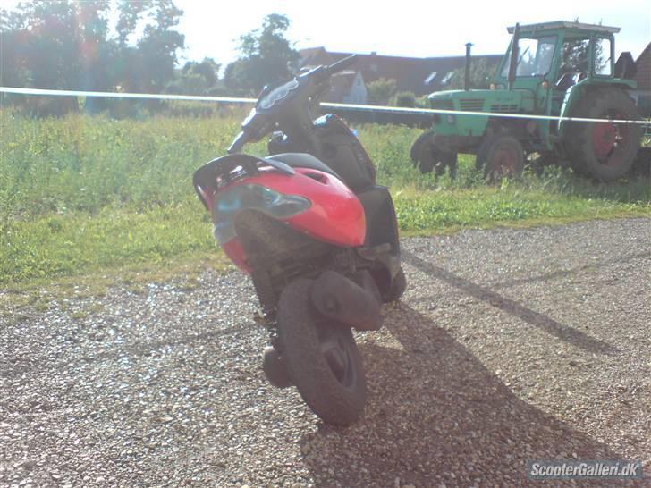 Aprilia Sonic billede 14